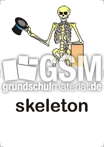 skeleton.pdf